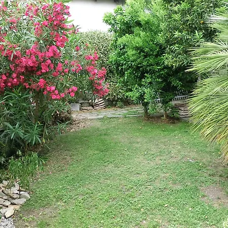 Apartmán Charmantes Pfarrhaus Mit Seeblick Und Garten *